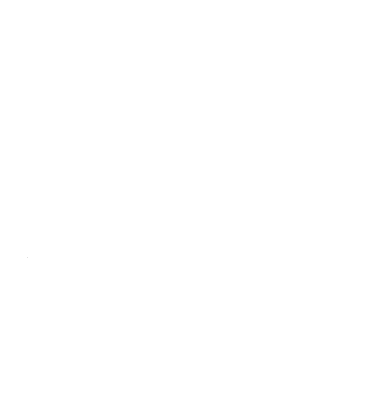 СТД "Лудите мечки"
